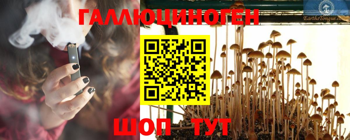 купить   Вход с VPN  Чернушка  Псилоцибиновые грибы Magic Shrooms 